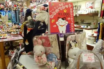 <p>ชุดพิเศษ 1000 เยน ฉันได้มาหนึ่งชุด ถูกใจมากๆ</p>