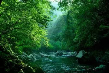 Fishing at the None-Gawa Creek