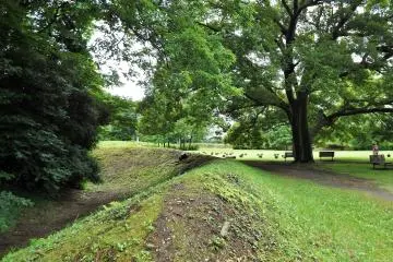<p>These man-made mounds were once part of the castle moat.</p>