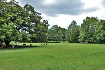 <p>Since most people are unaware of this section of the famous garden, it is usually very quiet.</p>