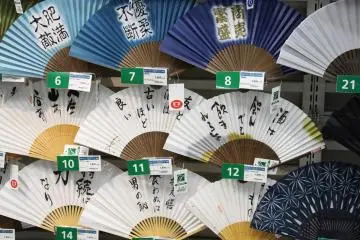 <p>Folding fans</p>