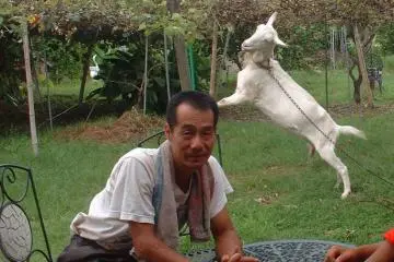Sukarelawan