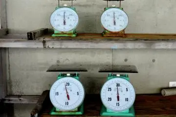 <p>For small scales in the fish market</p>