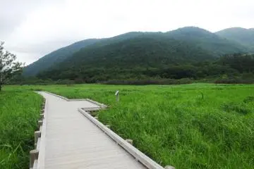 Tadewara Wetlands