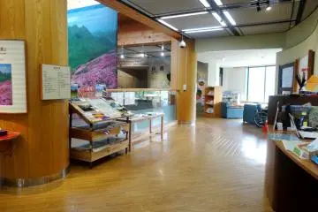 <p>The visitors center is well stocked with information, in multiple languages</p>