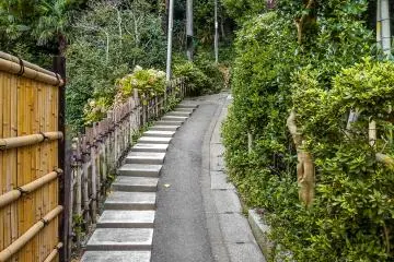 The start of the hike runs parallel to Myoo-in Temple