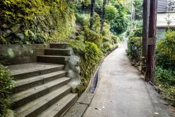 Several minutes into this hike you will reach a Y Junction; be sure to take the path on the left!