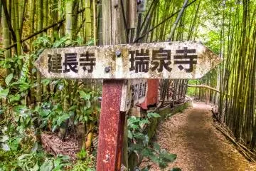 At about the halfway point you will enter a small bamboo grove where the Tenen Tea House and a rest area are located