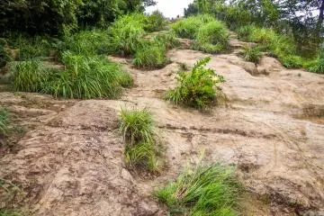The terrain gets rockier as you near the top of Mount Ohirayama