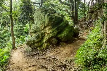 Just one of many large boulders that I saw throughout this hike