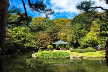 <p>Views from the Japanese Garden</p>