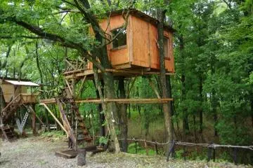 <p>Brown Treehouse</p>