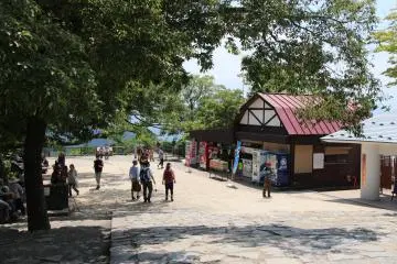 Gallery image