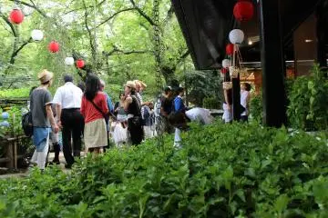 <p>Si l'on n'ach&egrave;te plus les physalis en raison de leurs vertus m&eacute;dicales, la tradition perdure toutefois, et de nombreux plants sont pr&eacute;sent&eacute;s au public lors du Festival</p>