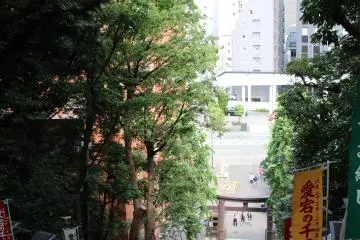 <p>L'arriv&eacute;e au sanctuaire se m&eacute;rite, puisque l'Atago Jinja est accessible apr&egrave;s avoir gravi un escalier de 86 marches</p>