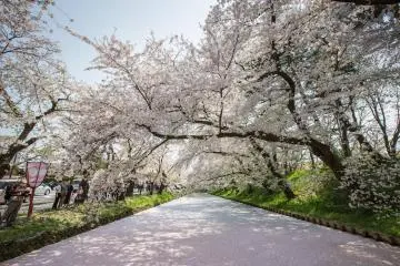 Photo: Aomori Tourism
