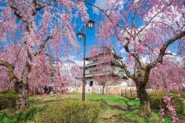 Photo: Aomori Tourism