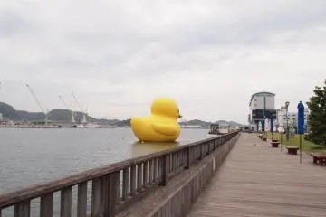 항구에 다다르면 놓치기 어렵다