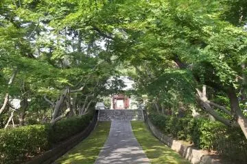 Gallery image