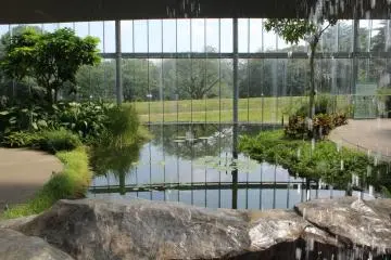<p>Behind the waterfall, looking out into the park through the greenhouse&nbsp;</p>