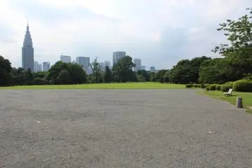 <p>Shinjuku's modernity harmoniously lives next to the park</p>