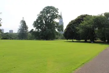 <p>A field of green to relax on, have a picnic and lay in the sun&nbsp;</p>