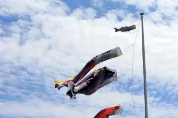 <p>Carp streamers for Children's Day were fluttering in the sea breeze</p>