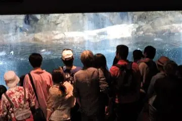 <p>No way to get near this window!</p>