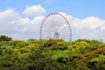 <p>'Diamond and Flower' Ferris wheel</p>