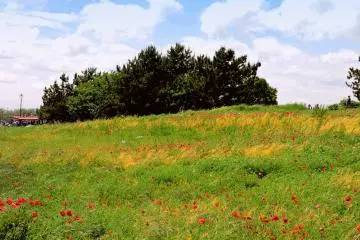 <p>You can imagine yourself in the countryside, not in the center of Tokyo</p>
