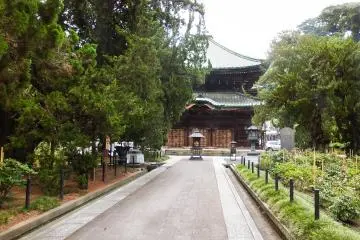 <p>Approaching the 'Butsuden' from the rear</p>