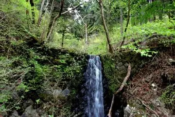 A small waterfall beside the road