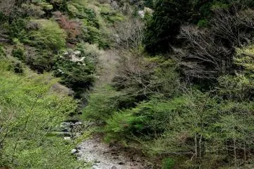 The river winds through the mountains
