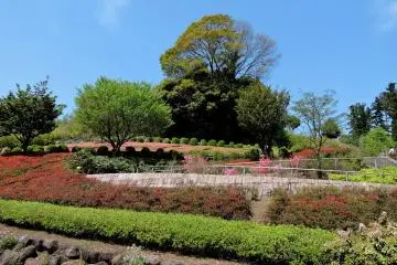 Kanagawa Kenritsu Aikawa Park