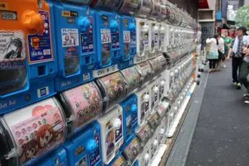 <p>Its like being a little kid again&nbsp;</p>