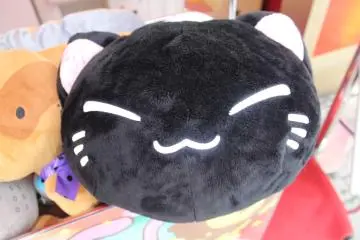 <p>Hello!</p>