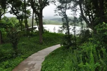 Path Approaching the Teshima Art Museum