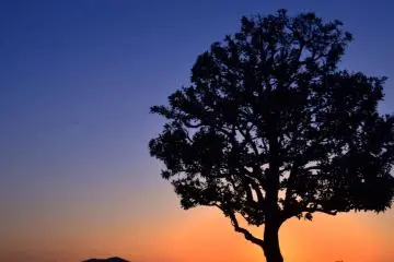 ยามสนธยาที่สวนนิชิยะมะในฟุคุอิ