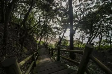 Like down these steps, onto the beach...