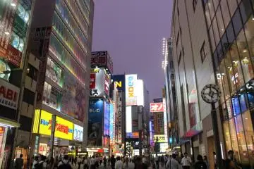 <p>Tall and gleaming buildings, crowds of people&nbsp;</p>