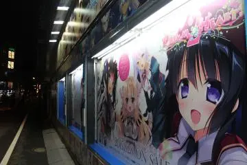 <p>The heart of anime culture in Japan</p>