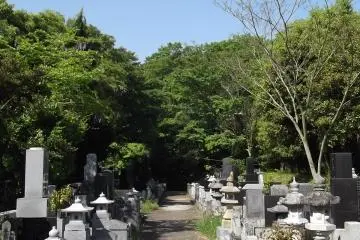 <p>Entour&eacute; de verdure, le cimeti&egrave;re est un lieu apaisant</p>