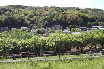 <p>La vue depuis le chemin &agrave; l'arri&egrave;re du cimeti&egrave;re</p>