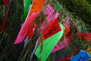 <p>Warna - warni Tanzaku</p>