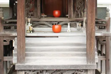 คิสุเนะ สุนัขจิ้งจอก พหนะของเทพเจ้า