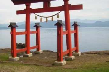 Gallery image
