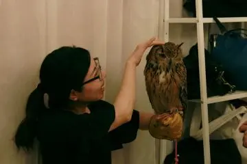 Memegang burung besar dengan cakar yang cukup besar memerlukan sarung tangan pengaman.