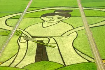 <p>Travel up the observation tower in Kodaihasu-no-Sato to see amazing rice paddy art in the summer and early fall.</p>