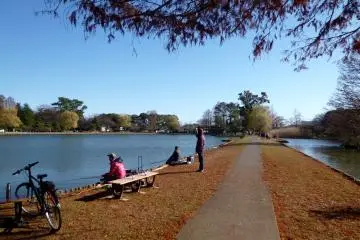 <p>Suijo Koen is a nice park in the center of town containing a lake, Japanese garden, grassy lawns, etc.</p>