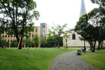 Gallery image